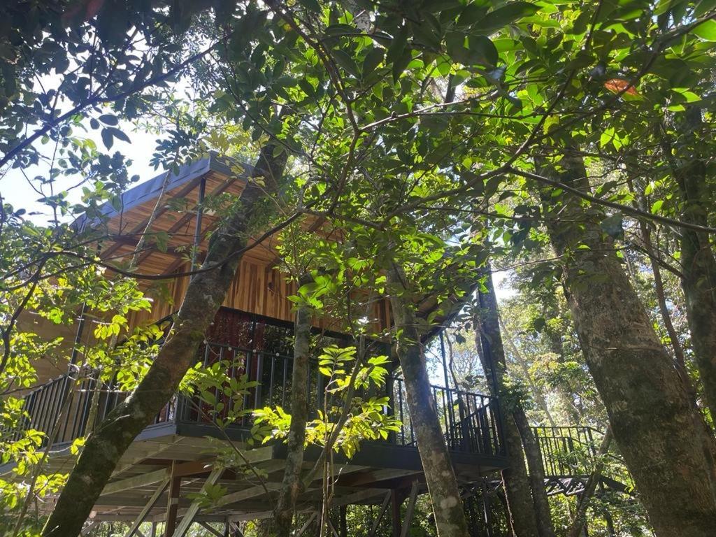 Cabanas Roca Verde Monteverde Exterior photo