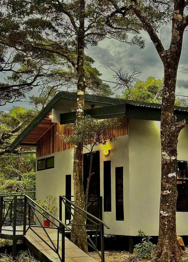Cabanas Roca Verde Monteverde Exterior photo