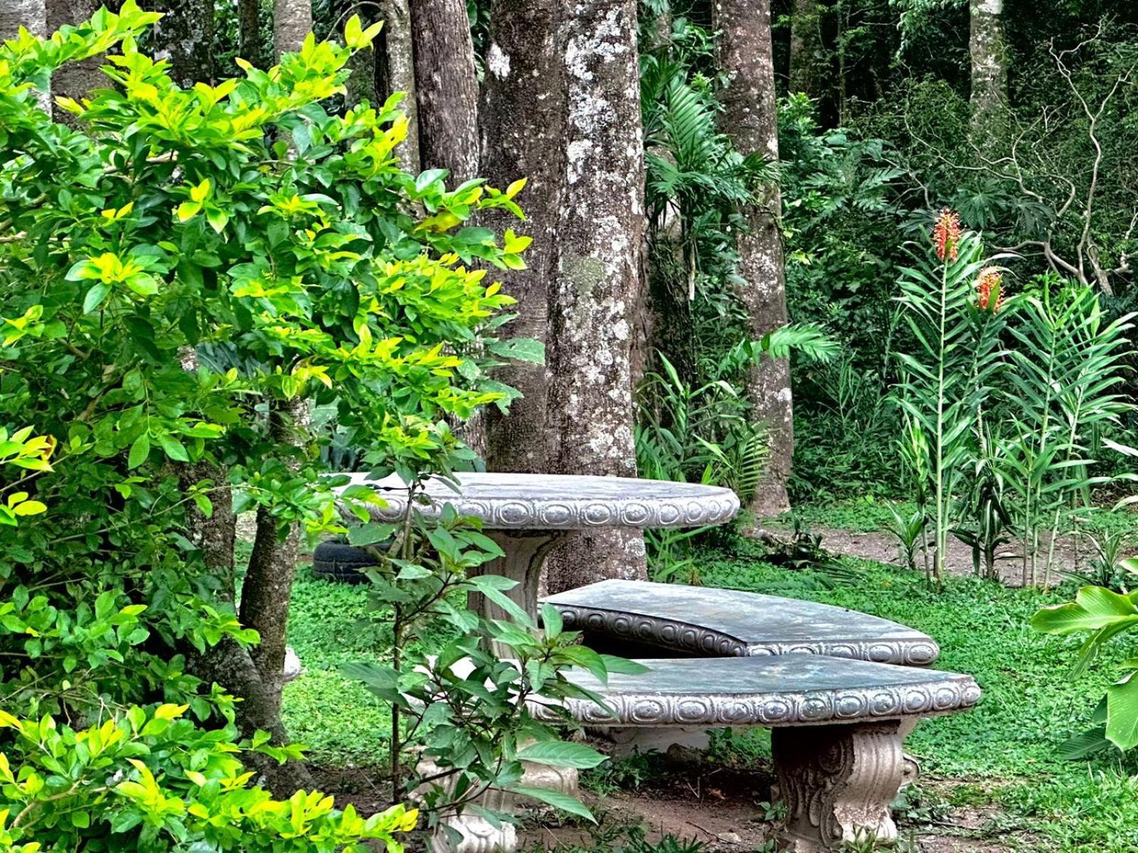 Cabanas Roca Verde Monteverde Exterior photo